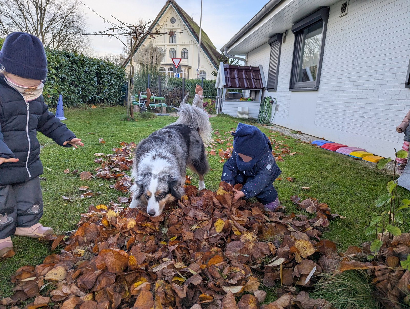 Herbstlaub Spiel im Garten